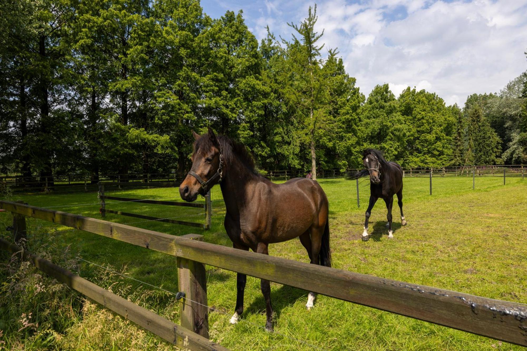 Luxe Hofstede Met Paardenstalling Lunteren Exterior photo